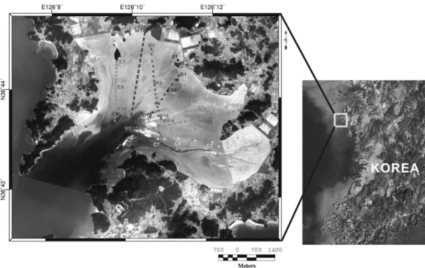 Fig.  1.  Location  of  the  Geunso  Bay  tidal  flat  and  SPOT  satellite  image  acquired  on  February  13,  2005  overlaid  with  the  lines  and  points  representing  the  sampling  sites