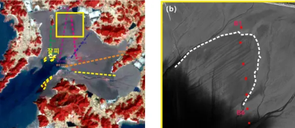 Fig.  4.  Chlorophyll  a  concentrations  measured  in  Geunsoman  tidal  flat