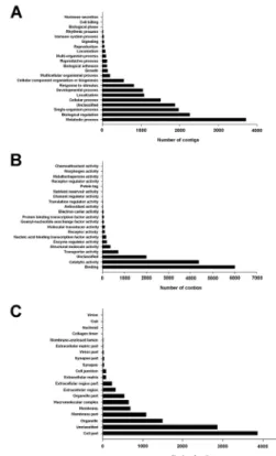 Table 1. Summary of assembled statistic results from deep sequencing analysis of fat body of Plutella xylostella