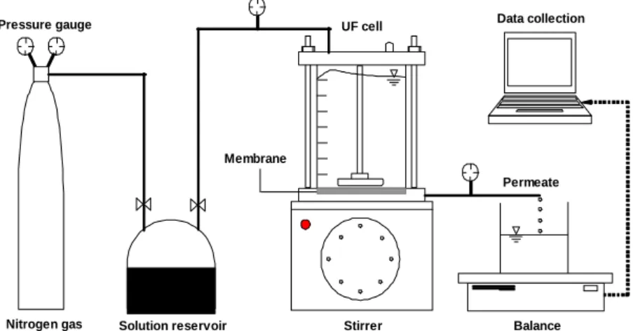 Fig. 1. Schematics of experimental setup for a batch cell (dead-end filtration).