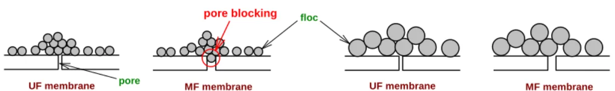 Fig. 7. Effect of membrane pore size for floc formed at membrane surface.