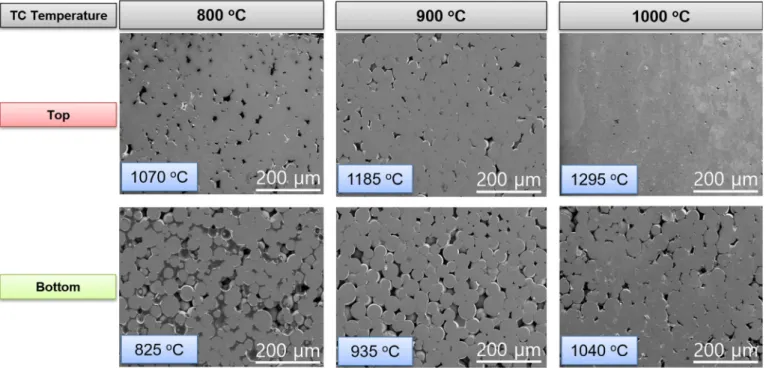 Fig. 6. Scanning electron microscopy microstructure images of the high and low temperature sides of functionally graded 8YSZ grain size after thermal etching.Fig