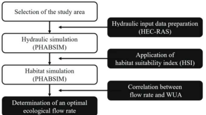 Fig. 1 Schematics of the study procedure