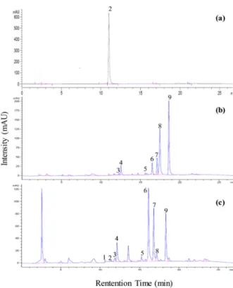 Fig. 4. HPLC chromatograms of glucosinolates separated from turnip root and leaf. (a), external sinigrin standard;