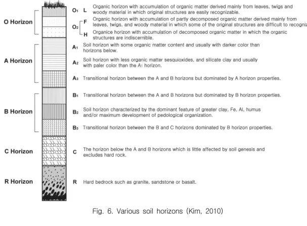 Fig.  6.  Various  soil  horizons  (Kim,  2010)