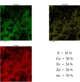 Fig. 6. TEM micrographs analysis.  Fig. 7. EDX-mapping analysis. 