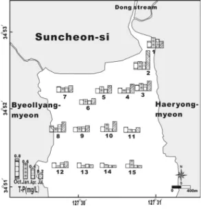 Fig.  9는  DIN과  DIP로부터  산출된  N/P의  원자 비의  계절적  변화를  나타낸  결과이다.  해수에서  식물플랑크톤은  생체중의  질소와  인의  비율이  Redfield  ratio로서  16:1정도로  보고된다 (Redfield,  1963)