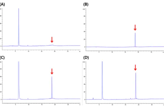 Fig. 3. Repregentative chromatograms of acetamiprid by HPLC-DAD analysis(A; blank sample, B; standard 2.0 mg/kg, C; recovery 1.0 mg/kg, D; swiss chard sample at 10 days after application).