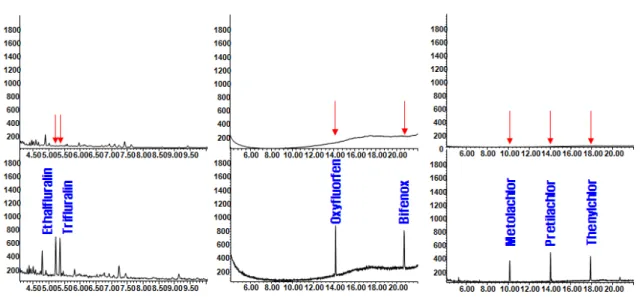 Fig. 6. SIM chromatograms of soybean extract for the confirmation of 7 kinds of herbicides