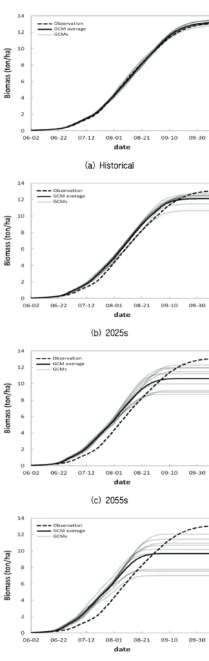 Fig. 13 Biomass development of rice under RCP4.5 scenario