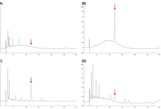 Fig. 3. Repregentative chromatograms of bistrifluron by HPLC-DAD analysis (A; blank peach, B; standard 1.0 mg/kg,  C; recovery 2.0 mg/kg, D; sample 0 day (Field II)).