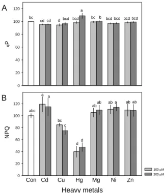 Fig. 2. Fluorescence parameters (qP, and NPQ) of Chlorella  vulgaris exposed for 12h to six heavy metal ions