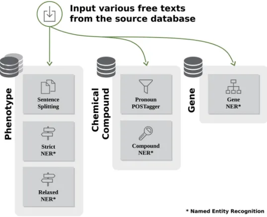 Fig 2. Generation of data for semantic search.