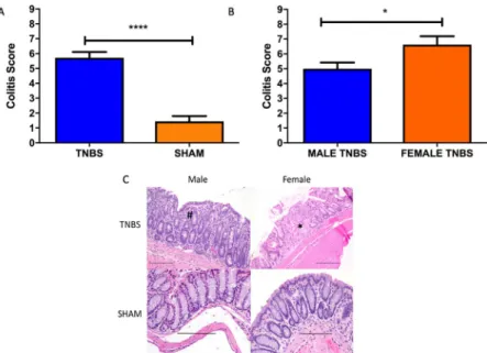 Fig 1. A) Bar Graph colitis scores in TNBS (n = 18) and SHAM (n = 18) treated mice. ���� T-test p<0.0001