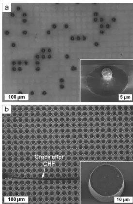 Figure 2. Mechanical stability of Al 2 O 3 -coated CNT micropillars for