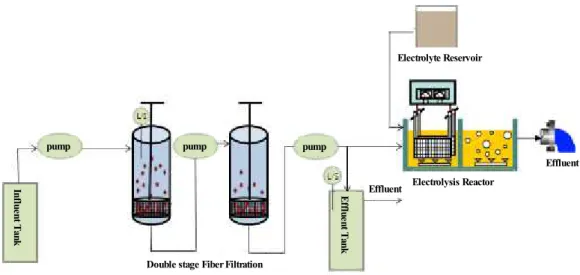 Fig. 3. Schematic diagram of co-treatment system.