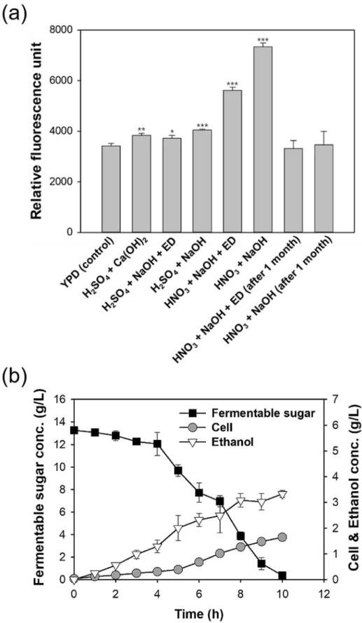 Figure 3.  Total ROS and RNS levels (relative fluorescence units) in different freshly prepared Chlorella sp