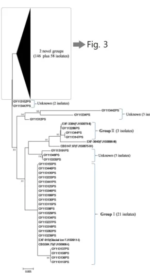 Fig. 3. Molecular phylogenetic tree constructed by UPGMA method using the sequences of representative yeast isolates from seawater and related yeasts.