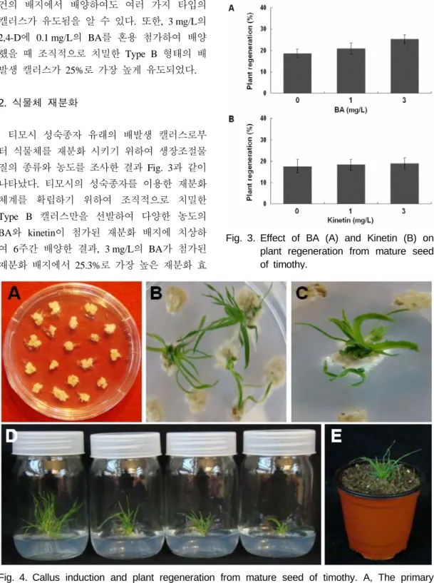 Fig. 3. Effect of BA (A) and Kinetin (B) on  plant regeneration from mature seed  of timothy.건의  배지에서  배양하여도  여러  가지  타입의 캘러스가  유도됨을  알  수  있다