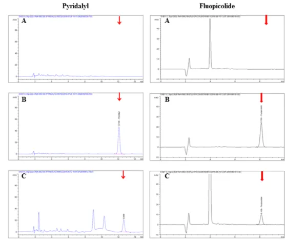 Table 5. Storage stability of pyridalyl and fluopicolide in watermelon