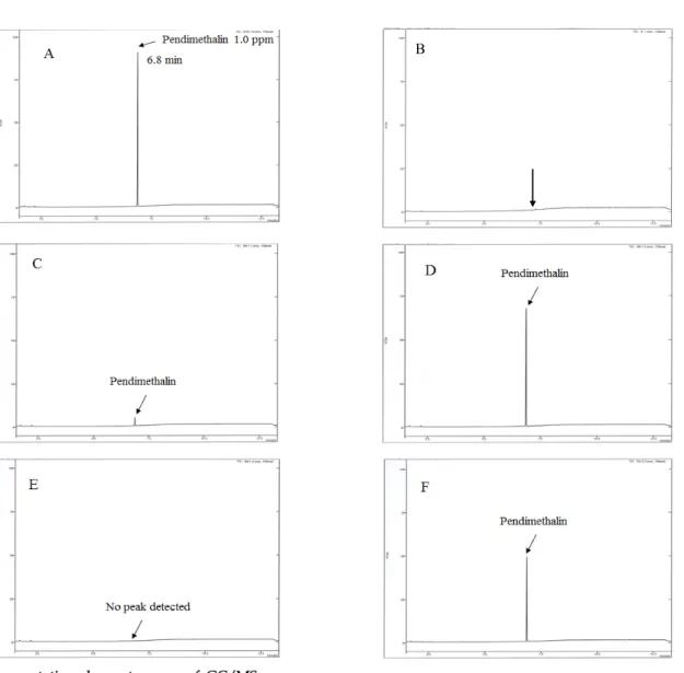 Fig. 3. Representative chromatograms of GC/MS.