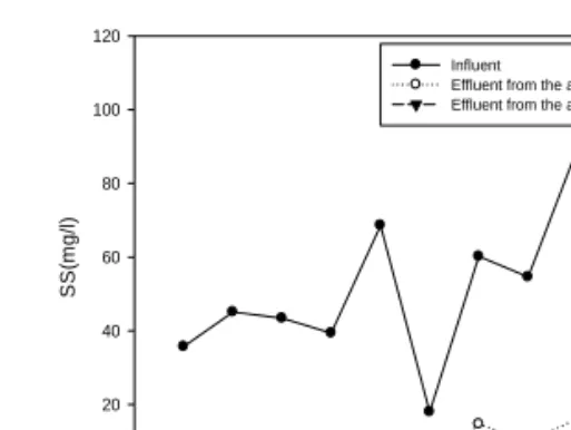 Fig.  3.  Changes  in  BOD5  concentration  in  the  hybrid  constructed  wetland