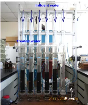 Fig. 1. Photograph of continuous adsorption column system.
