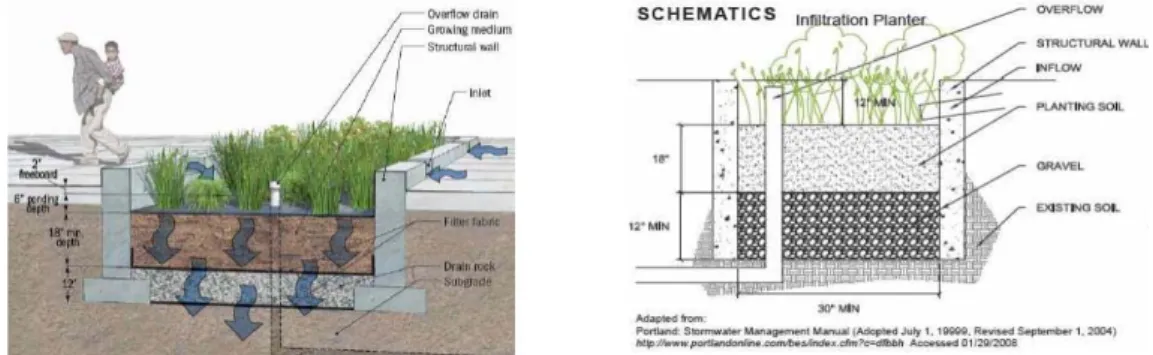 Fig. 1. Basic structure of LID infiltration treebox filter. 네트워크(ecological network)는 생태계 보전 관리 분 야에 네트워크의 고유 개념을 적용하여 구조와 기능을 고 려한 생태계 향상을 도모하고 있다