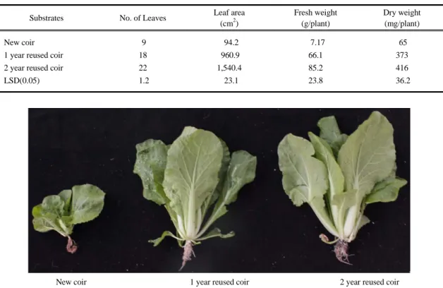 Table 4. Effect of reused coir substrates on number leaves, leaf area, fresh weight and dry weight of Chinese cabbage plants 30  days after transplanting