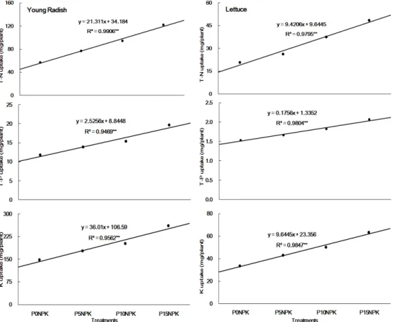 Fig. 4. Amounts of inorganic nutrient uptake of young radish and lettuce under different application levels of phyllite.
