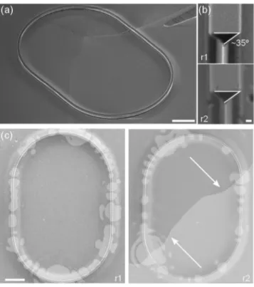 FIG. 3. (a) SEM image of a diamond racetrack resonator etched in a bulk polycrystalline diamond, 10 µm scale bar
