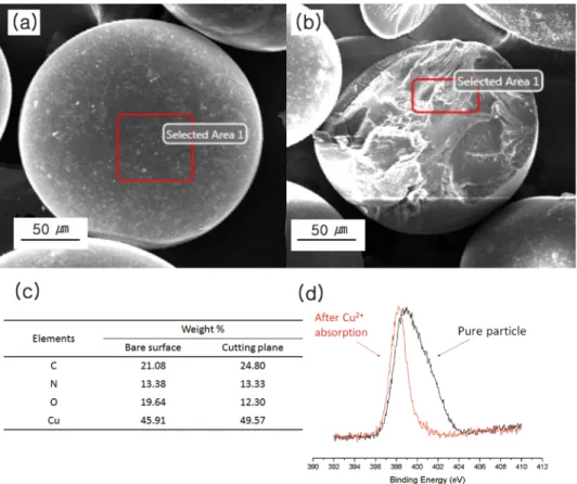 Figure 5.  EDX and XPS analyses of HPAMAM particles of P-M 12/8 S 0.5 R 1k  after Cu 2+  absorption: (a) collected 