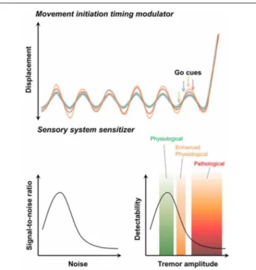 FIGURE 3 | Possible contribution of physiological tremors to motor function. The movement initiation timing modulator hypothesis (upper )