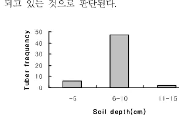 Fig. 4. Appearance frequency of tuber of Scirpus planiculmis according to soil depth in laboratory condition