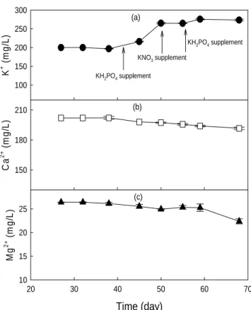 Fig. 6. Variation of hydroponic components with lettuce growth.
