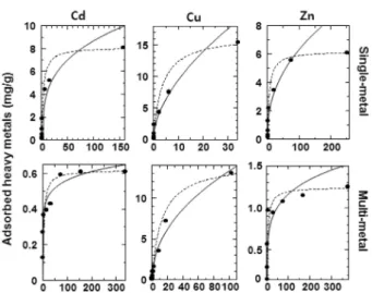 Fig.  3.  Experimental  and  calculated  values  from  the  Freundlich and Langmuir adsorption isotherms for the  single- and multi-metal conditions