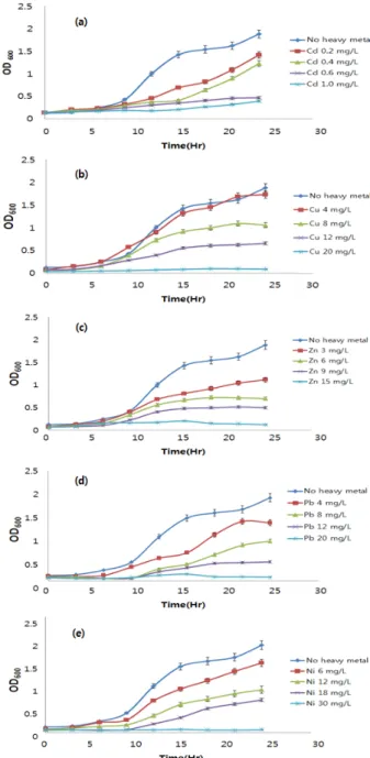 Fig. 1. Growth of  Alcaligenes  sp. in medium containing  single heavy metal; (a) Cd, (b) Cu, (c) Zn, (d) Pb and (e)  Ni