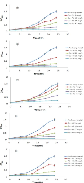 Fig. 3. Growth of  Alcaligenes  sp. in medium containing  binary heavy metals; (a) Cd + Cu, (b) Cd + Zn, (c) Cu + Zn, (d) Cd+Ni and (e) Cu+Zn