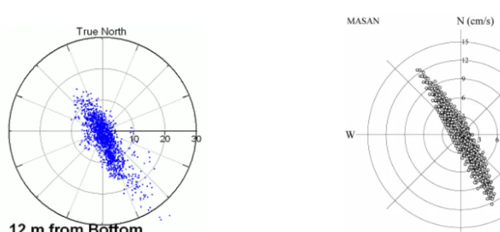 Fig. 6. Comparison of tidal current ellipses between observed(a) and computed(b) result