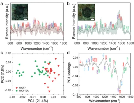 Figure 5. SERS measurement and PCA analysis of the captured living malignant MCF7 cells and non- non-malignant MCF10A cells