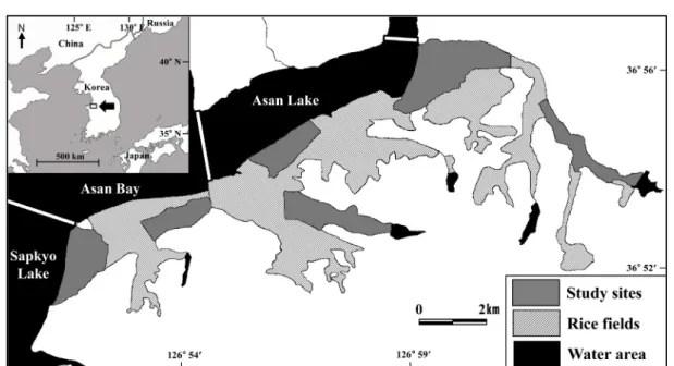 Fig. 1. Map of study areas. Total rice field areas in the southern part of Asan Bay, Korea, are indicated by the grey and shaded areas