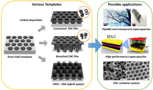 Figure 1 shows a schematic of various carbon nanocups (CNC) architectures and their potential applications