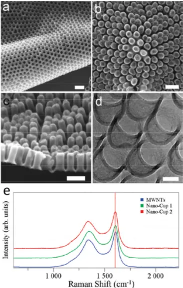 Figure  2.  SEM  and  TEM  micrographs  of  a  two-dimensional  carbon  nanocup  film  structure  after  removing  the  AAO  template