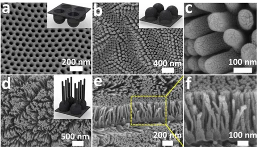 Figure 3 shows SEM images of CNCs (3a−c) and branched CNCs (3d−f). To fabricate branched CNCs, CNCs were first fabricated with channels of 80 ± 10 nm in diameter and 140 ± 10 nm in length