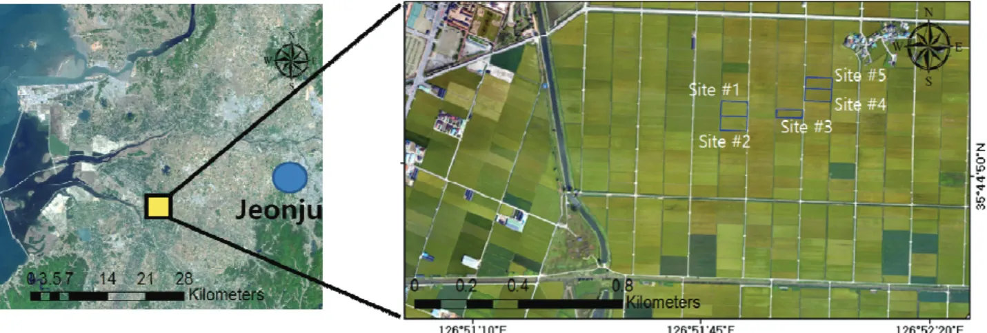 Fig. 1 Location of study area and sampling sites
