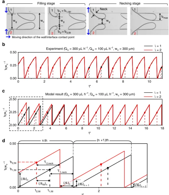 Fig. 3 Development of the in-phase synchronization model from experimental parameters