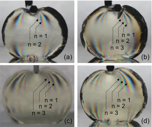 Fig. 1. Digital image obtained from photoelastic constant measurement experiment for (a) L gelatin (loaded by 0.49 N), (b) M gelatin (loaded by 0.98 N), (c) H  gelatin (loaded by 1.18 N), and (d) VH gelatin (loaded by 1.47 N): the images were taken using t