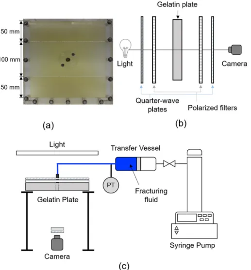 Fig. 2. Experimental setup: (a) the acrylic mold filled with layered medium, (b) a diagram of the polarizers and photoelastic material, and (c) a schematic drawing of  the experimental setup