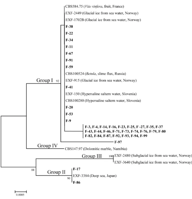 Fig. 2.  Aureobasidium pullulans  interspecies. A neighbor-joining tree of  A. pullulans  isolates from flowers of the wild fleabane Erigeron annus (L.) Pers., based on internal transcribed spacer sequences