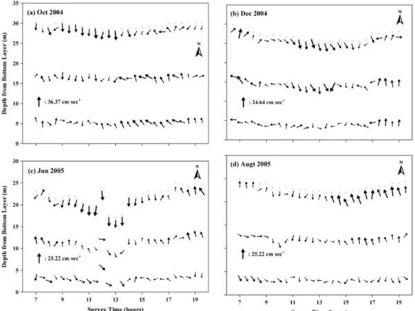 Fig. 5. Tidal current speeds and directions for one tidal cycle.